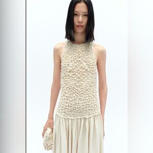 NWT Zara Beige Textured Dress